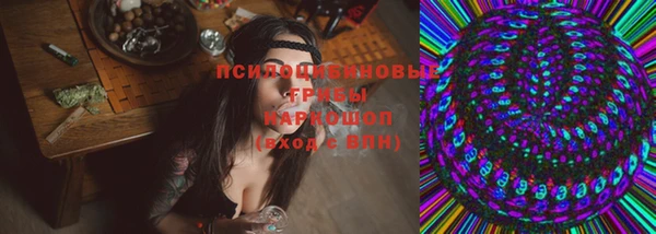 марки lsd Абаза